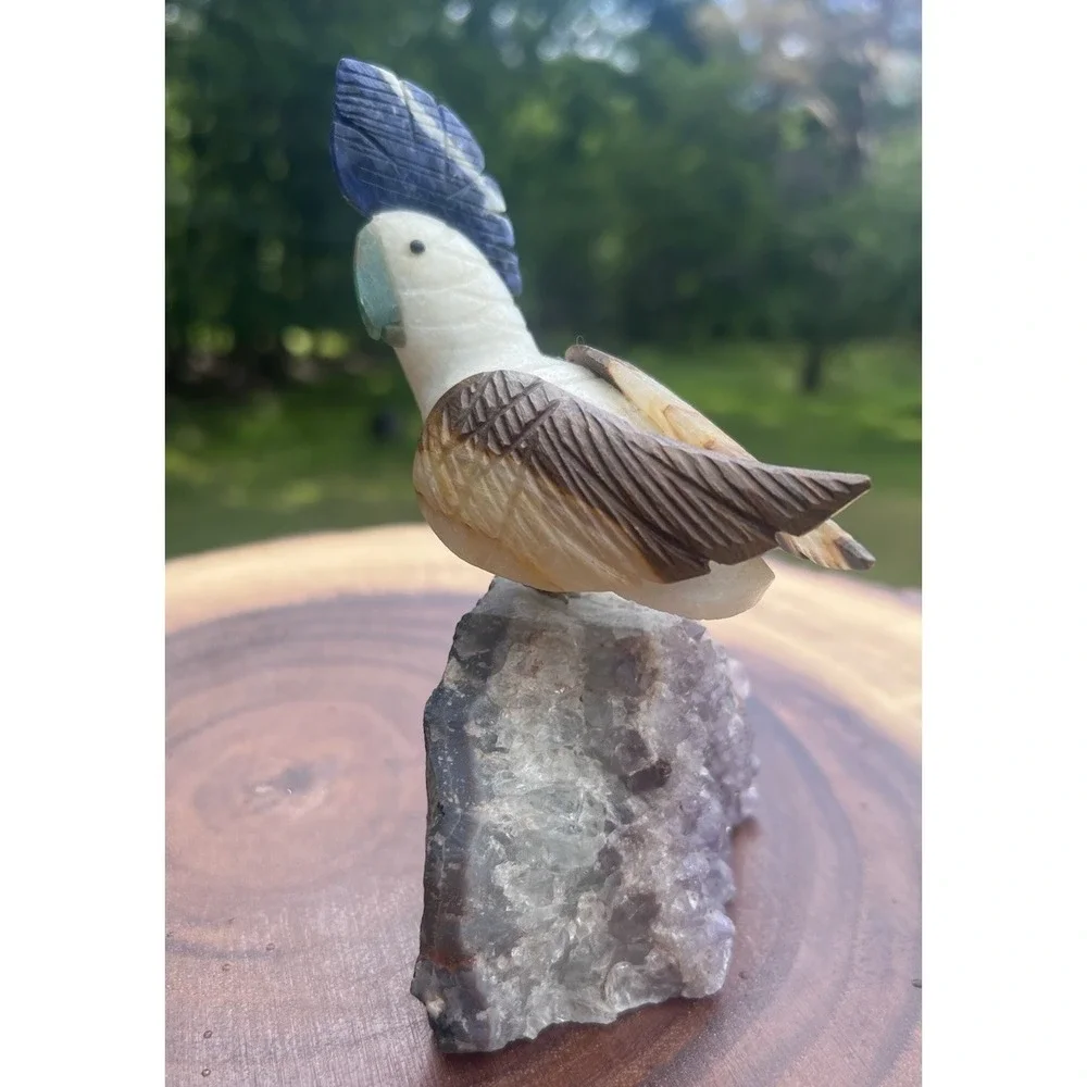 Hand Carved Gemstone Cockatoo Bird Figurine on Amethyst Geode Base 6